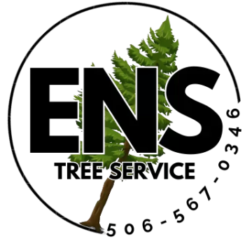 {{site_name}}